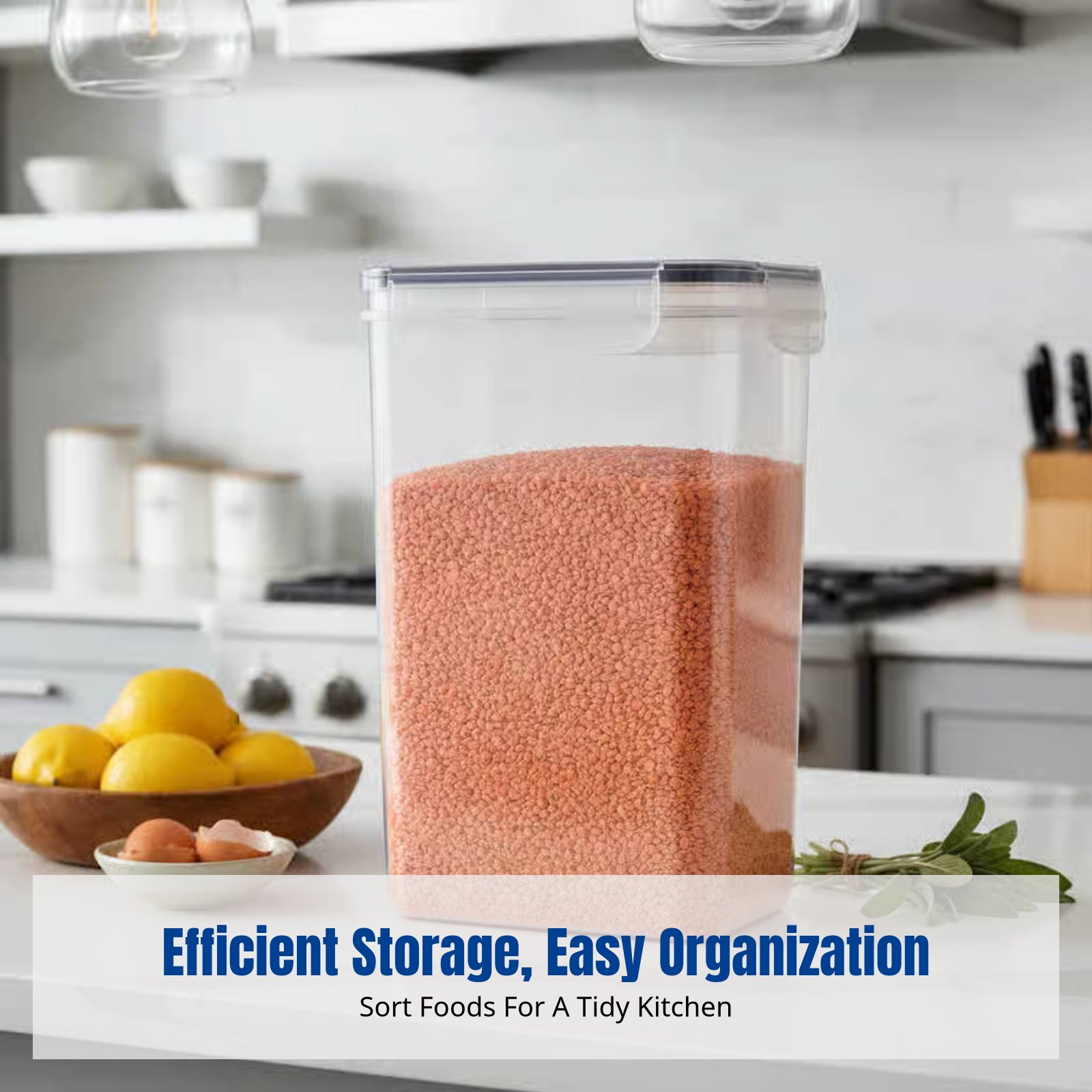 Airtight Food Storage Containe - Food Storage Large のレビューと価格
