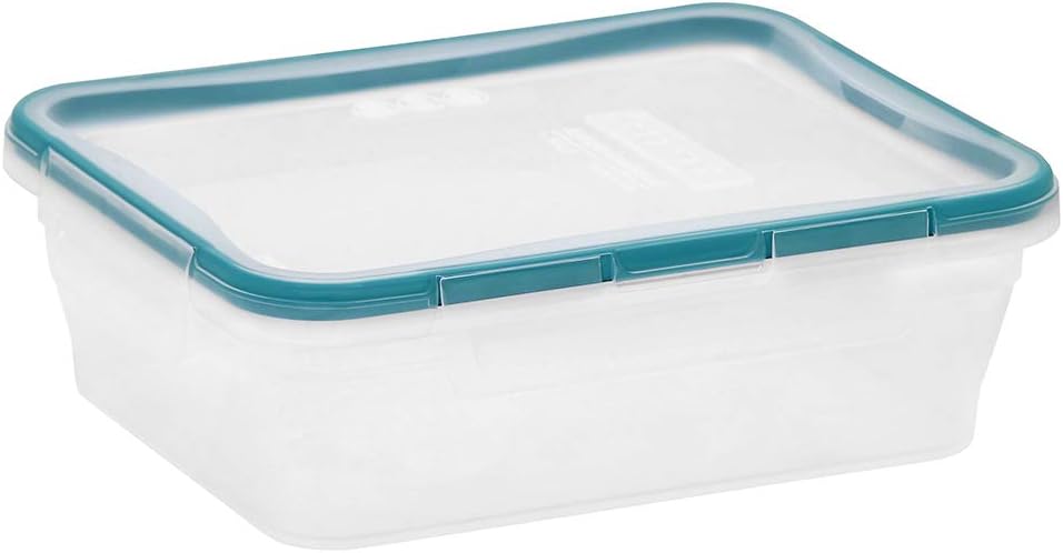 Plastic Food Storage Container - Food Storage Meal Prep のレビューと価格