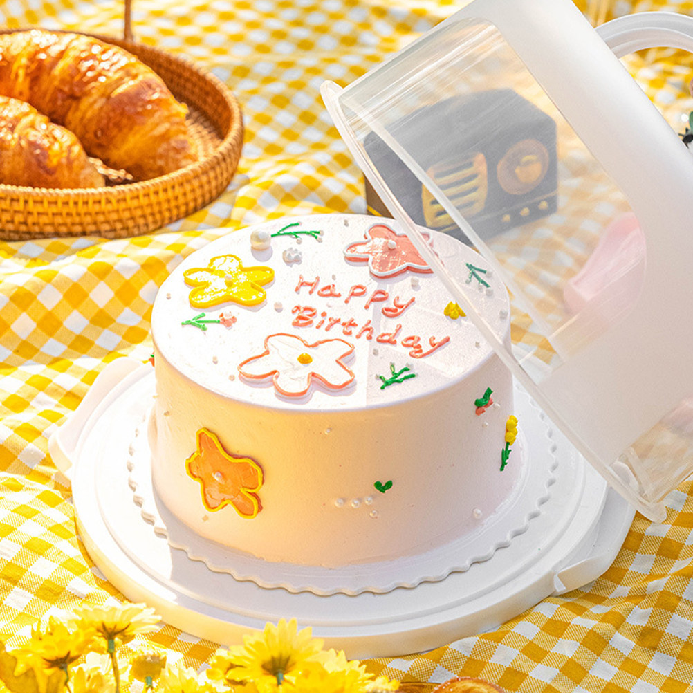 Cake Storage Box 10 Inch Round - Food Storage Boxes のレビューと価格